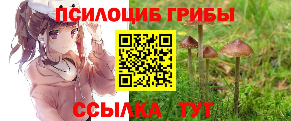 МАРИХУАНА Нефтекумск